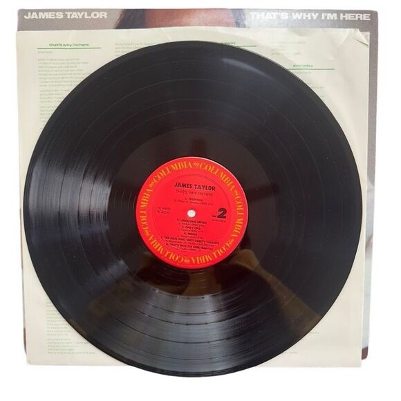James Taylor - That’s Why I’m Here Vinyl LP, Very Good Condition - Picture 5 of 6